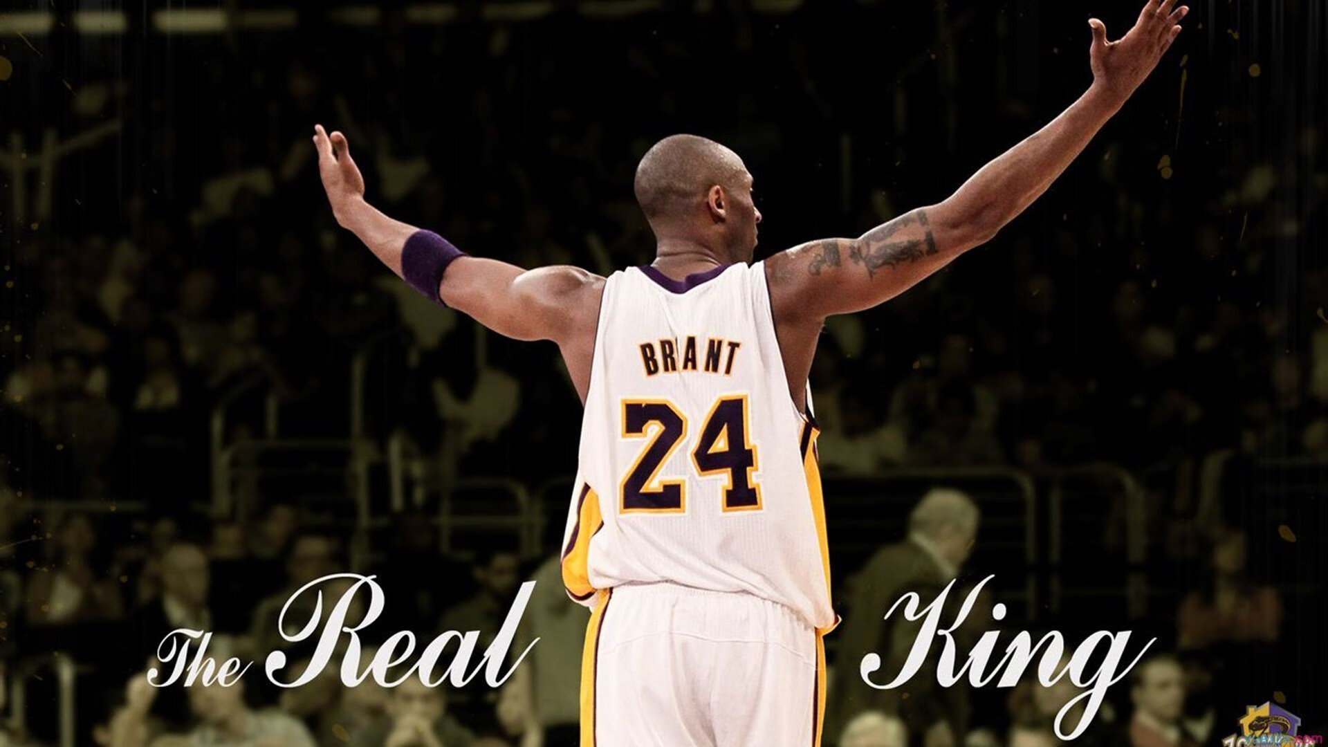 爱游戏官网-“萨尔·巴赫：南非橄榄球未来的希望，冠军梦的追求”